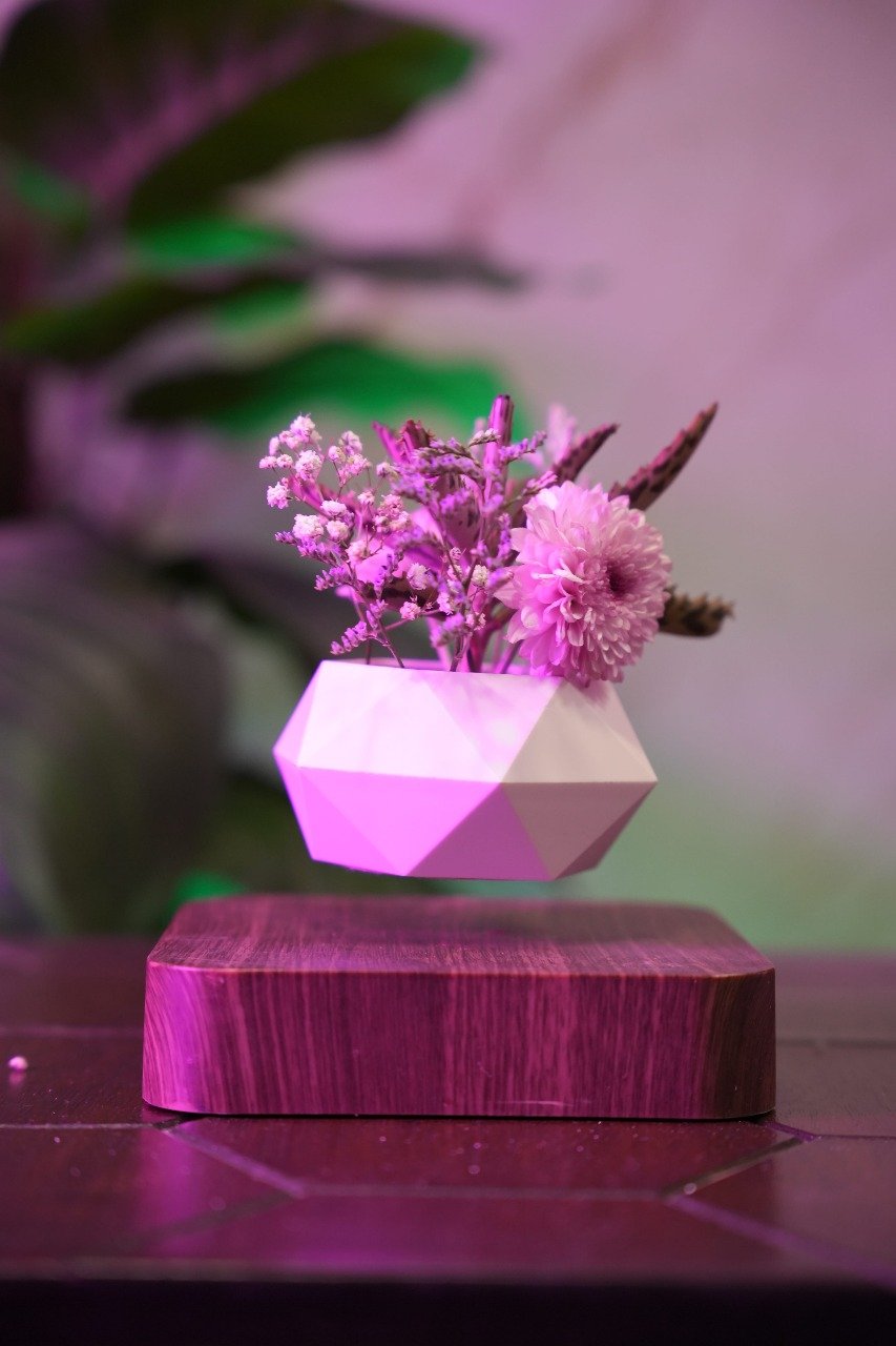 Floating Tree on wooden base - Main view