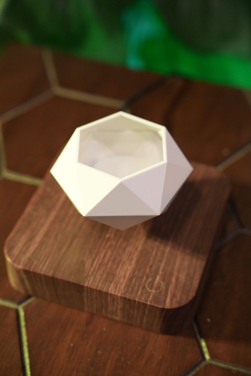 Floating Tree close-up